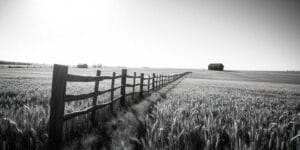 Tratamiento de la ansiedad